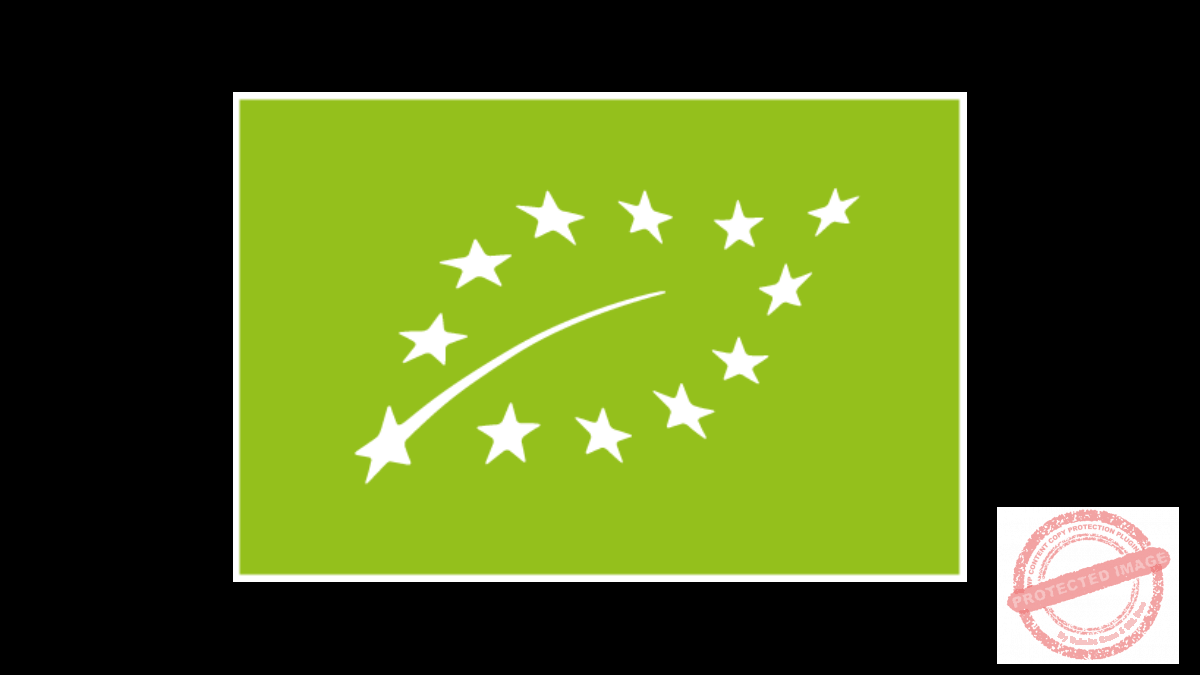 Quality Nuts & More Processing (EA) EPZ Ltd