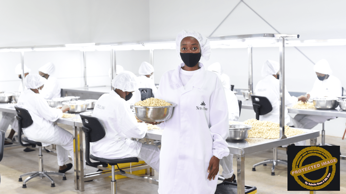 Social Nuts & More Processing (EA) EPZ Ltd