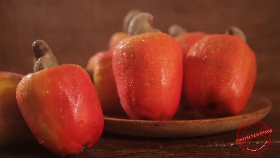 Nuts & More Processing (EA) EPZ Ltd